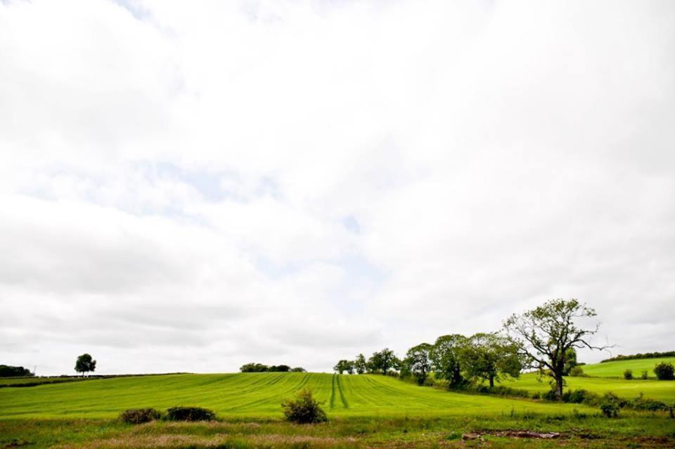 Bamflatt Farm Bed & Breakfast Bed and Breakfast Strathaven Habitación foto